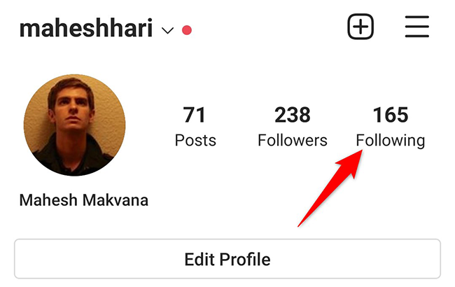 Tap "Following" on the profile page in the Instagram app.