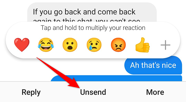 Select "Unsend" from the message menu in the Instagram app.