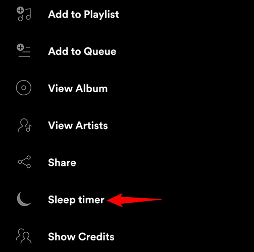 Tap "Sleep Timer" in the three-dots menu of the Spotify app.