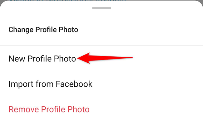 Select an option from the "Change Profile Photo" menu in the Instagram app.