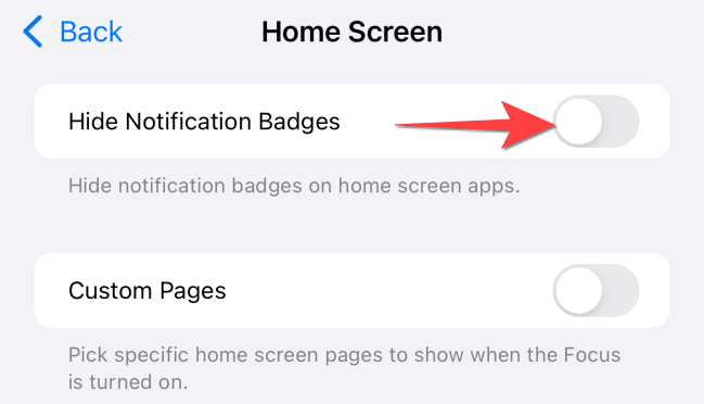 Toggle on the "Hide Notifications Badges" switch.
