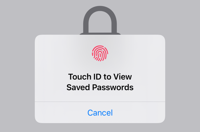 Use Face ID or Touch ID to access and view the saved passwords.