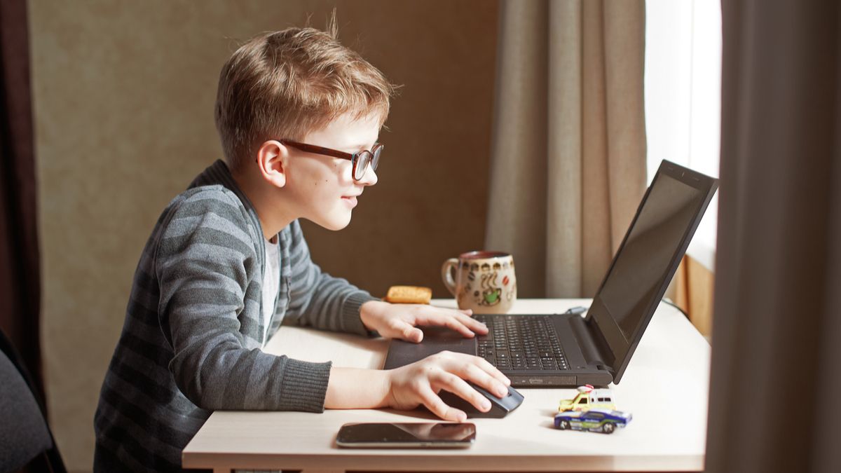 A kid using a computer