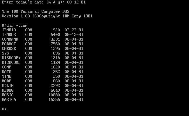A screenshot of IBM PC-DOS 1.0