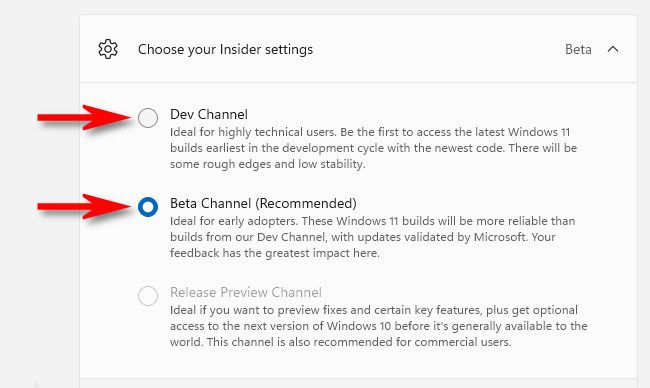 Click the circular button beside "Dev Channel" or "Beta Channel."
