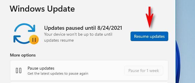 Click "Resume Updates."