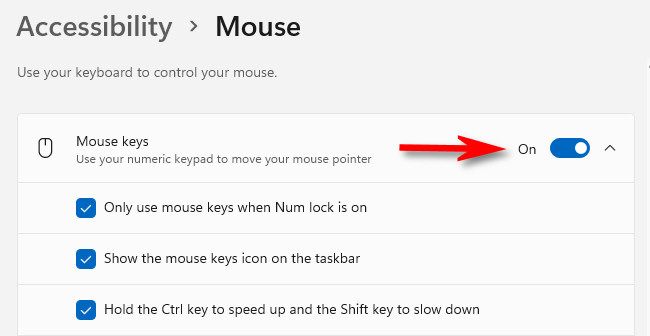 Turn the switch beside "Mouse Keys" to "On."