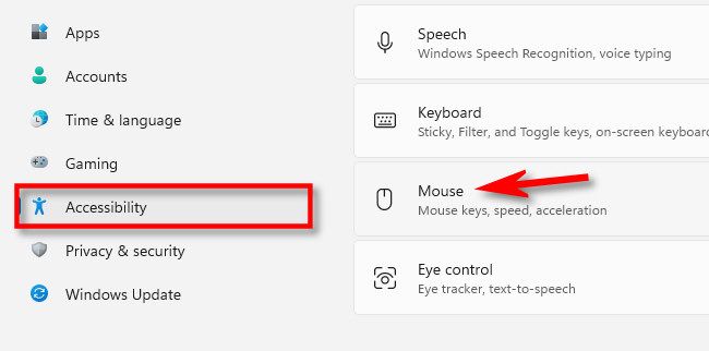 In Settings, click "Accessibility," then select "Mouse."