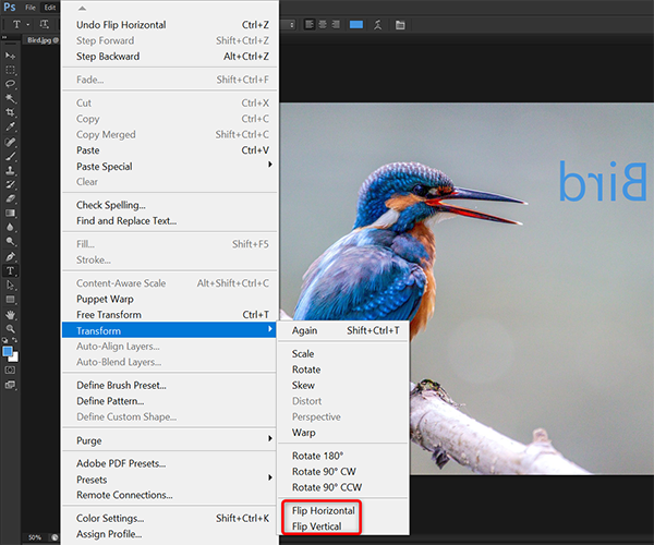 Choose a flip option from the "Transform" menu in Photoshop.