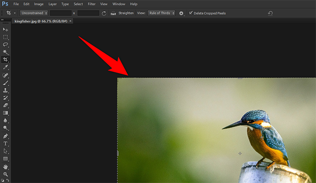 An image on Photoshop's main interface.