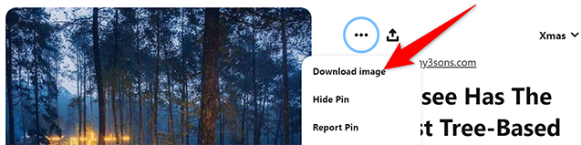 Select "Download Image" from the three-dots menu for an image on Pinterest.