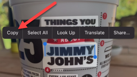 "Copy" from the toolbar.