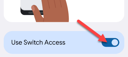Toggle "Switch Access" on.