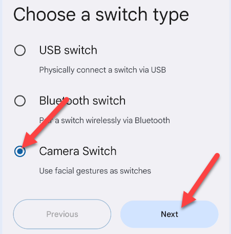 Select "Camera Switch."