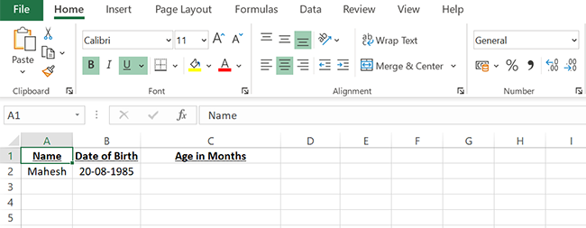 A sample spreadsheet to find age in months in Excel.