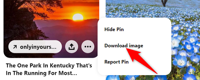 Select "Download Image" from the three-dots menu on Pinterest.