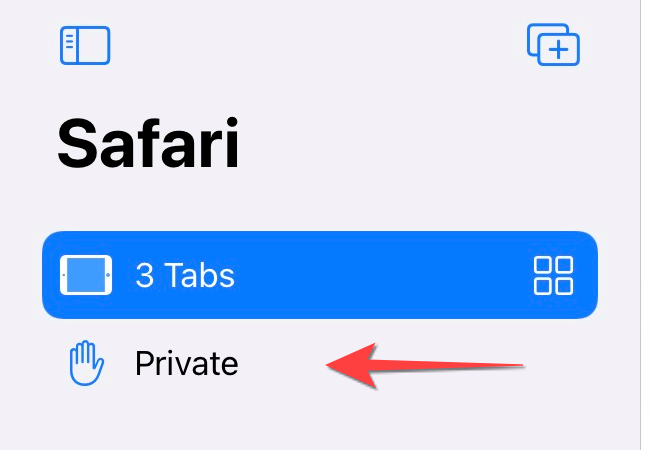 Tap "Private" to switch to a private browsing mode and open a new private tab.