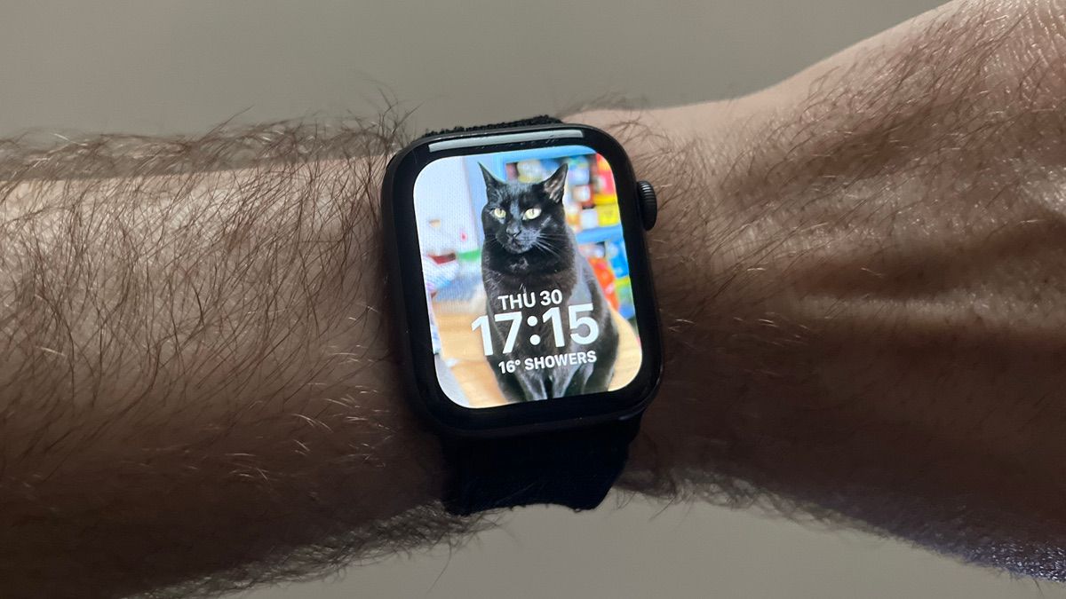 An Apple Watch face featuring a black cat