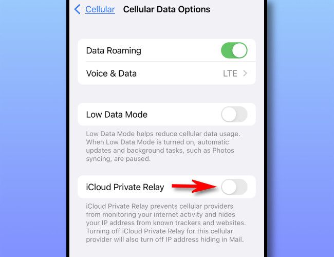 In Cellular Data Options, switch 