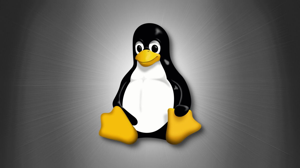 Tux the Linux mascot on a grey background