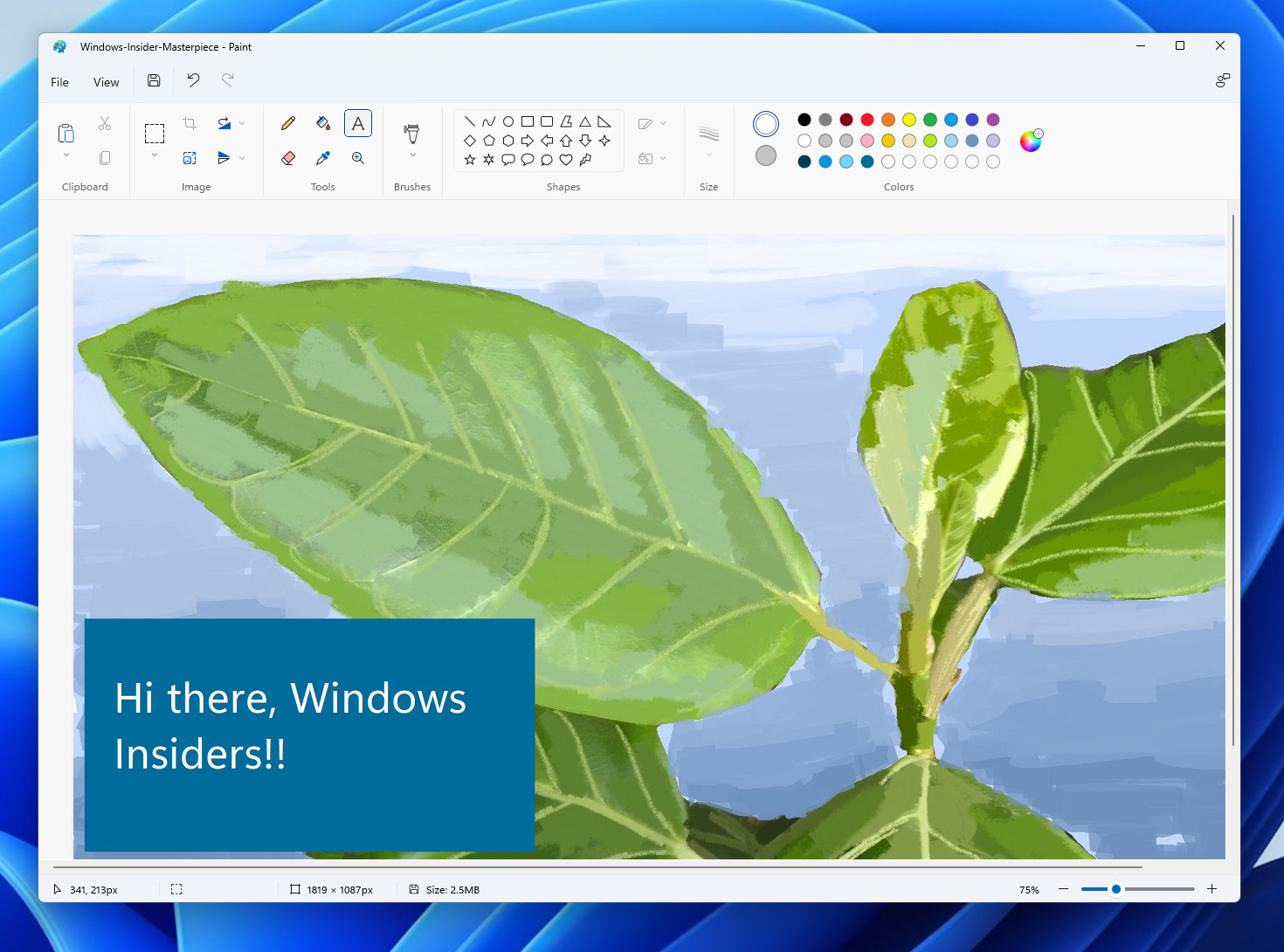 Windows 11 Paint app text