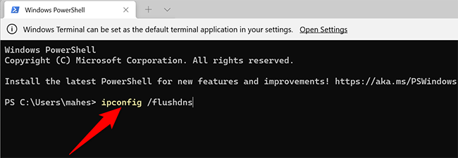 Flush the DNS cache with Windows Terminal.