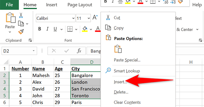 Right-click a selected row and choose "Insert" from the menu in Excel.