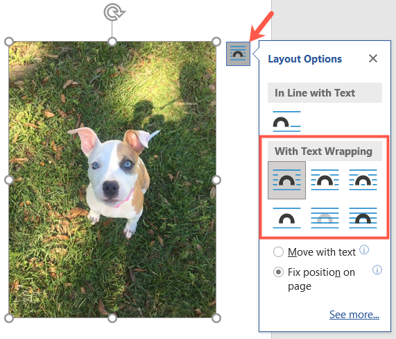 Choose a Layout Option in Word