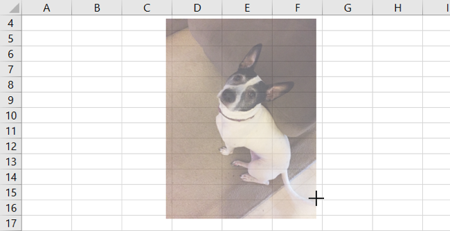 Resize picture in Excel