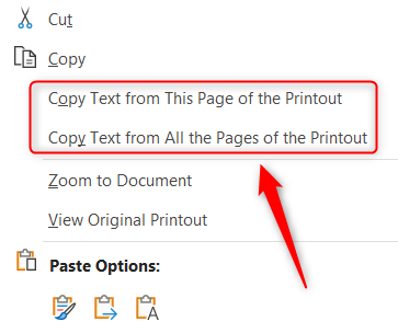 The options to copy text from one or all pages.