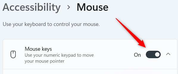 Turn on Mouse Keys.