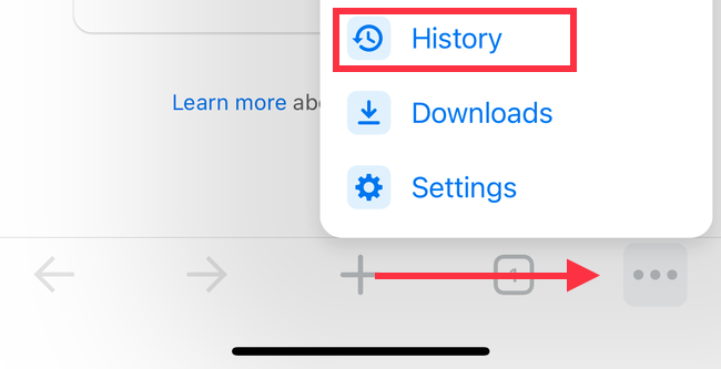 History in iPhone Chrome settings