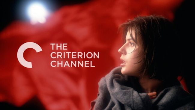 criterion channel banner