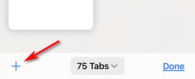 In Safari on iPhone, tap the plus button to open a new tab.