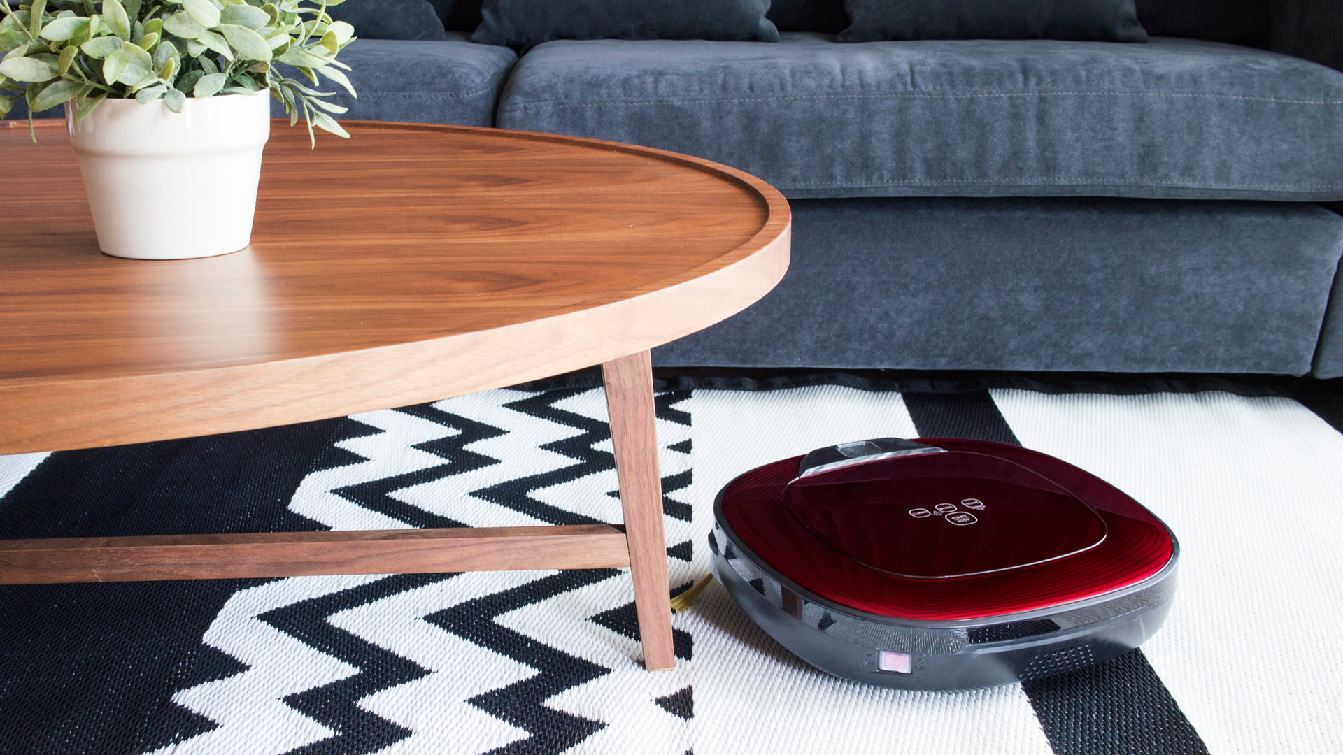 Robotic vacuum cleaner on carpet in cozy living room with navy blue sofa and wooden table