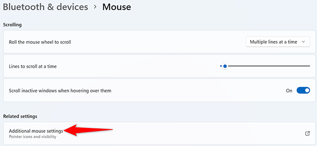 Select "Additional Mouse Settings"