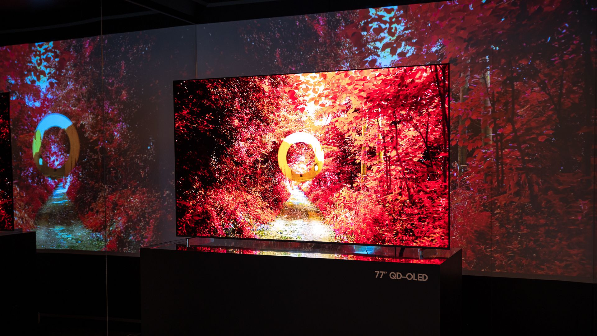Samsung 77-inch QD-OLED TV at CES 2023