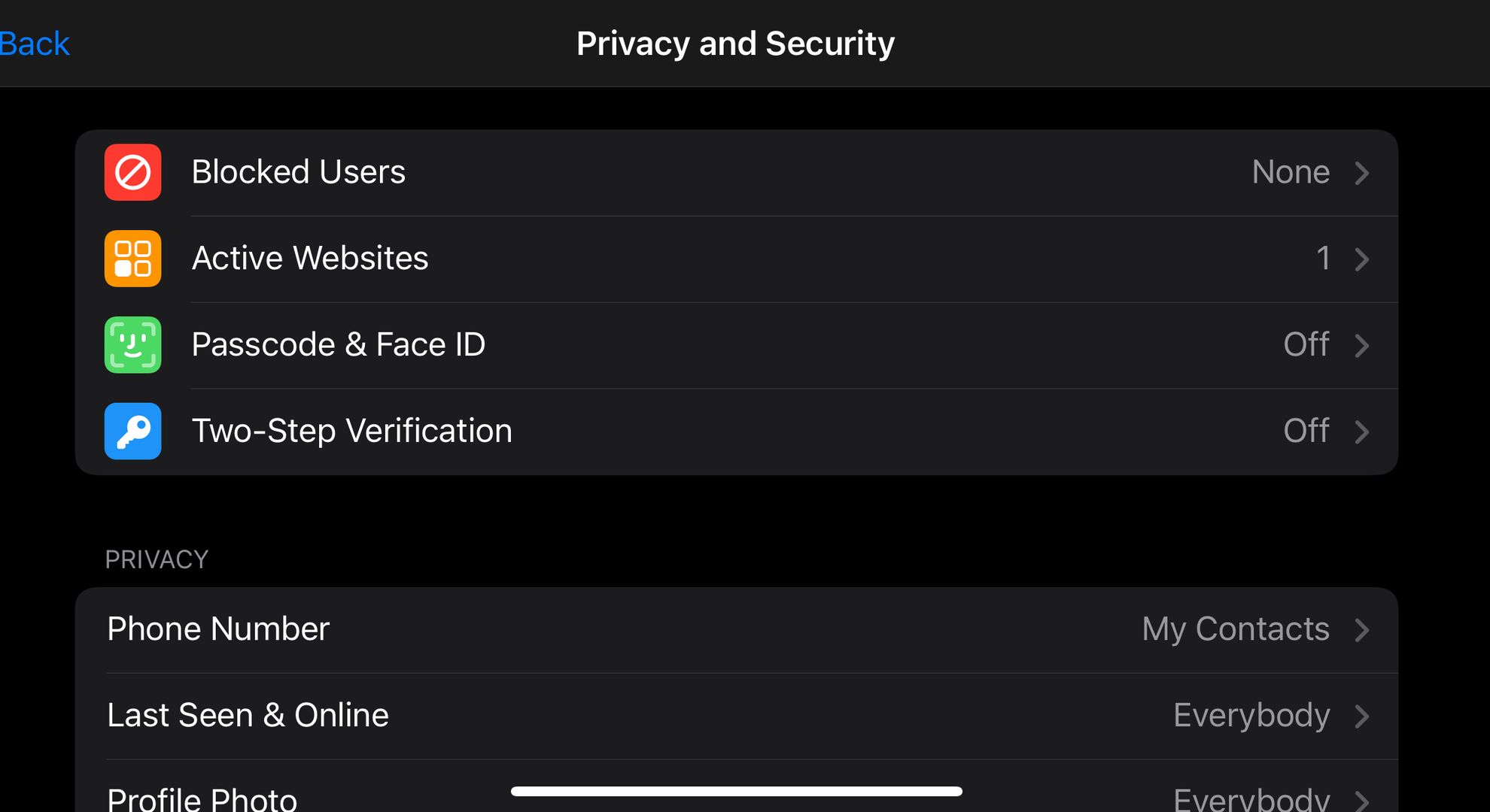 Telegram's privacy and security screen on iOS.