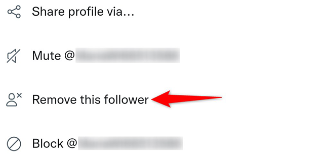 Tap "Remove this Follower" in the three-dots menu.