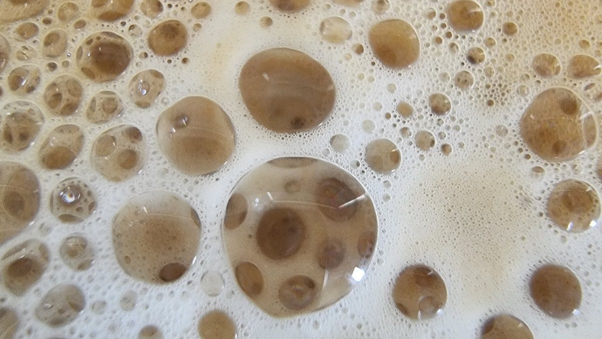 Sydney Butler - Coffee Foam Taken with S21 Ultra