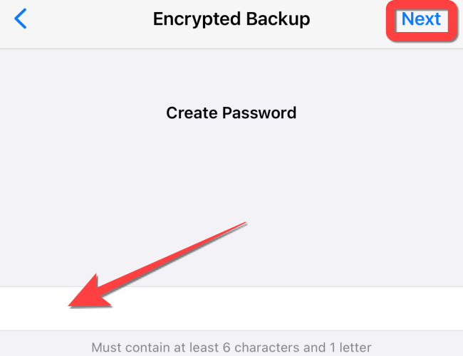 Type in a password and hit "Next" in the top-right corner of the screen.