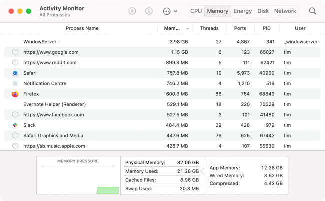 Activity Monitor Memory tab