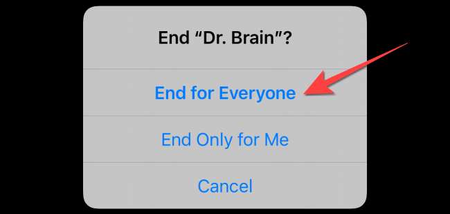 Select "End for Everyone" or "End Only for Me"
