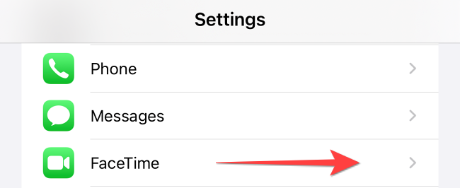 Select "FaceTime" section in the "Settings" app.