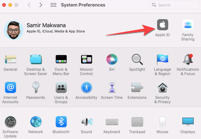 Select the "Apple ID" icon from the "System Preferences' window.