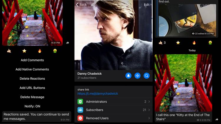 Danny Chadwick's channel on Telegram