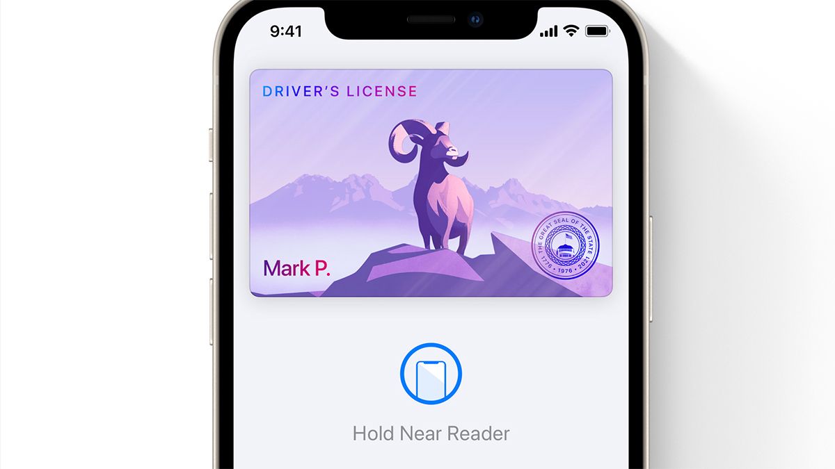 iPhone Driver's License