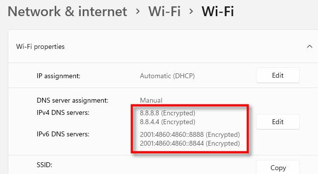 You'll see "(Encrypted)" beside the DNS server names.