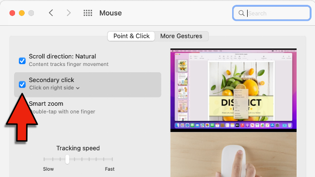 Enabling secondary click on the Magic Mouse