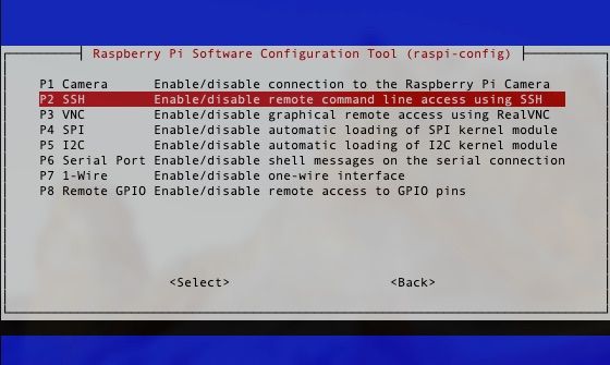 raspi-config Interface Options screen
